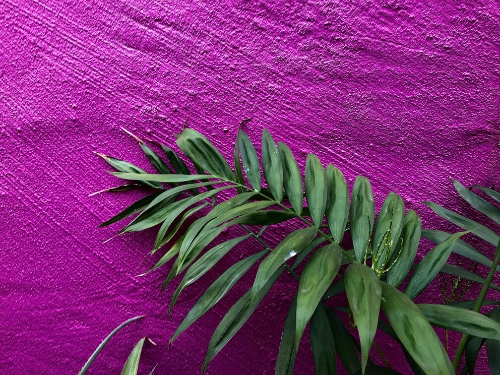 Rivestimenti Decorativi